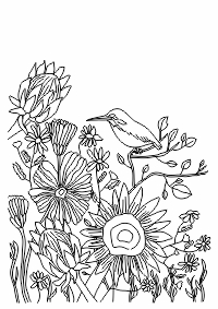 LDA2-S02 06 – Flowers with Sugarbird