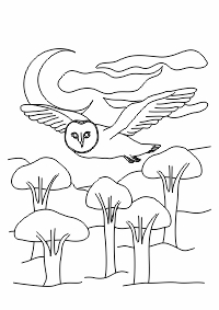LDA2-S02 24 – Owl in Flight